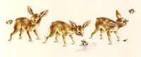 Fawns Fine Art Print