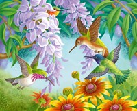 Hummingbirds Fine Art Print
