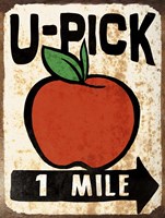 U-Pick Apple Fine Art Print