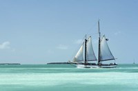 Appledore Calm Sea Fine Art Print