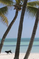 Dog Beach Fine Art Print