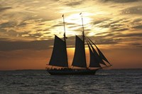 Golden Liberty Fine Art Print