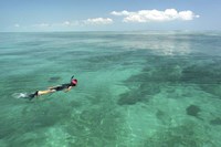 Snorkeler Fine Art Print