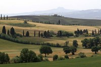 Tuscan Hillside 1 Fine Art Print