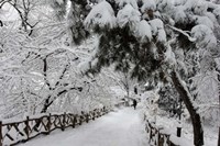 Central Park Path Deep Snow Fine Art Print