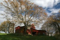 Early Spring Tree Barn Fine Art Print