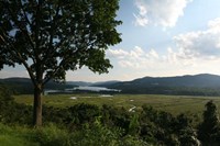 Hudson Highlands Tree Boscobell Fine Art Print