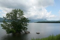 Island Tree Fine Art Print