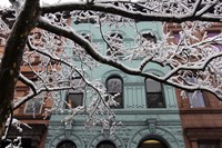 Snowstorm Brownstones Branches Fine Art Print