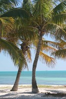 Two Palms Beach Fine Art Print