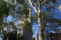 Flatiron Building With Trees Framed Print