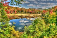 Adirondack Pond Fine Art Print