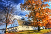 Autumn Barns Fine Art Print