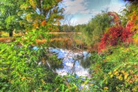 Autumn Pond Fine Art Print