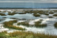 Beaufort Harbor Fine Art Print