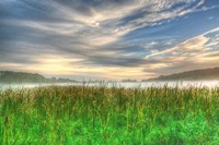Cattails And Sky Fine Art Print