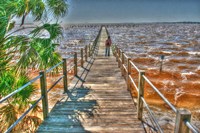 Cedar Key Pier Fine Art Print