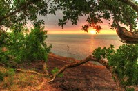 Dawn Egret Fine Art Print