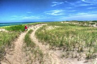 Dune Walker Fine Art Print