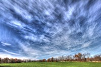 Field And Sky Autumn Fine Art Print