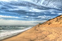Footprints On Cape Cod Shore Fine Art Print