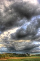 Front Forty Vertical Fine Art Print