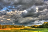 Front Forty Fine Art Print