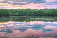 Heron And Mangroves Fine Art Print