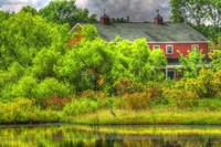 Heron Haven Fine Art Print