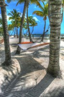 Higgs Beach Hammock. Fine Art Print