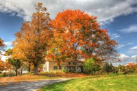 Home Sweet Home Fine Art Print