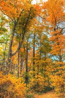 Inwood Park Vertical Fine Art Print