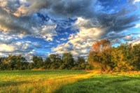 Late Summer Light Fine Art Print