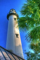 Low Country Light Fine Art Print