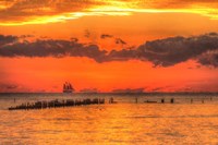 Old Pier And Gull After Sunset Fine Art Print
