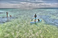 Paddle Board Pups Fine Art Print