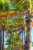 Palms Vertical Fine Art Print