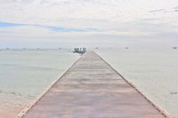 Pier And Shrimper Fleet Fine Art Print