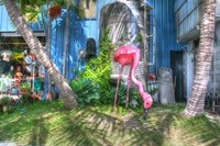 Pink Flamingo Fine Art Print