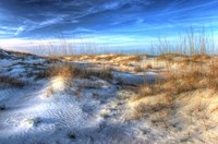 Small Dunes Fine Art Print
