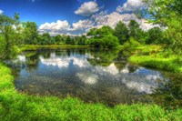 Summer Pond Fine Art Print