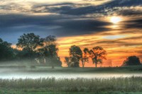 Sunrise Meadow Fine Art Print
