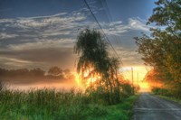 Sunrise Road Fine Art Print