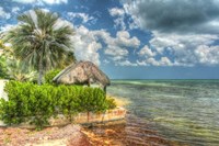 Thatched Roof Fine Art Print