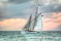 The Appledore Fine Art Print