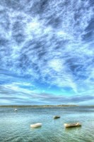 Three Dinks Vertical Fine Art Print