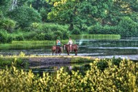 Tillson Pond Riders Fine Art Print