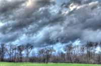 Back 20 1 Fine Art Print