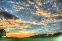 Back 20 Sunset 2 Fine Art Print