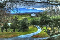 BC Driveway View Fine Art Print